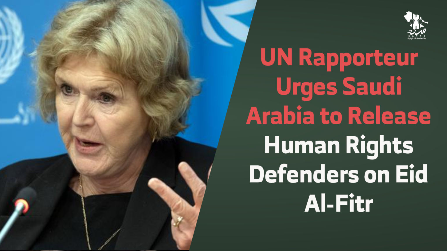 UN Rapporteur Urges Saudi Arabia to Release Human Rights Defenders on ...